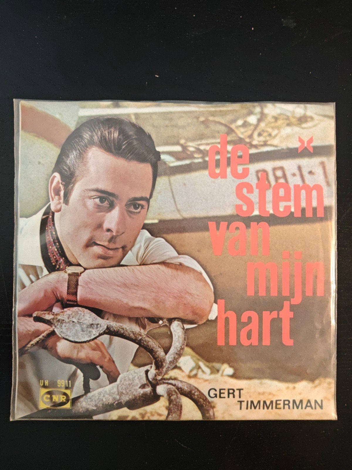 Gert Timmerman.  de stem van mijn Hart, Ophalen of Verzenden, Zo goed als nieuw, Nederlandstalig