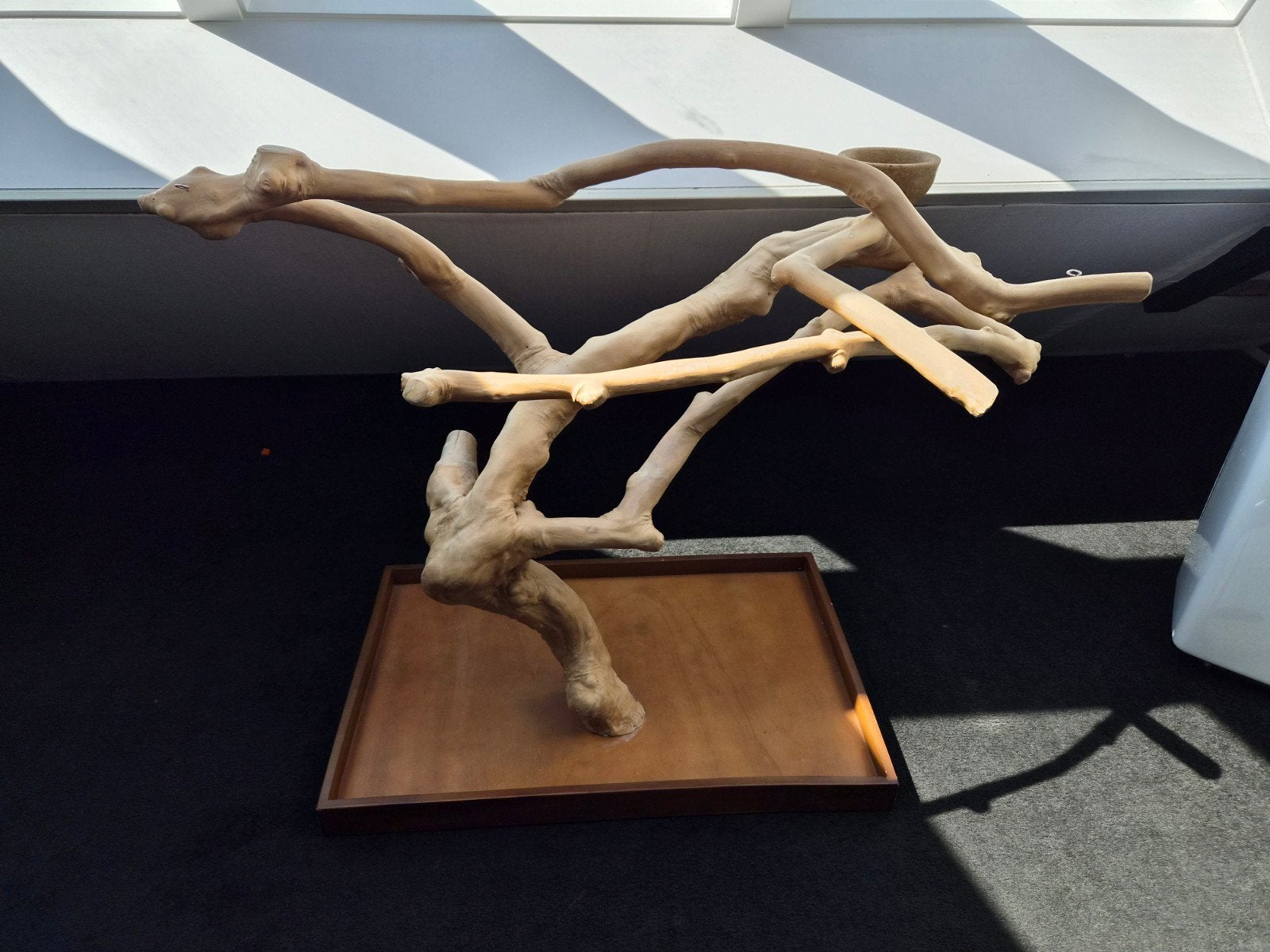mooi vogel tak te koop, Ophalen, Zo goed als nieuw, Overige typen