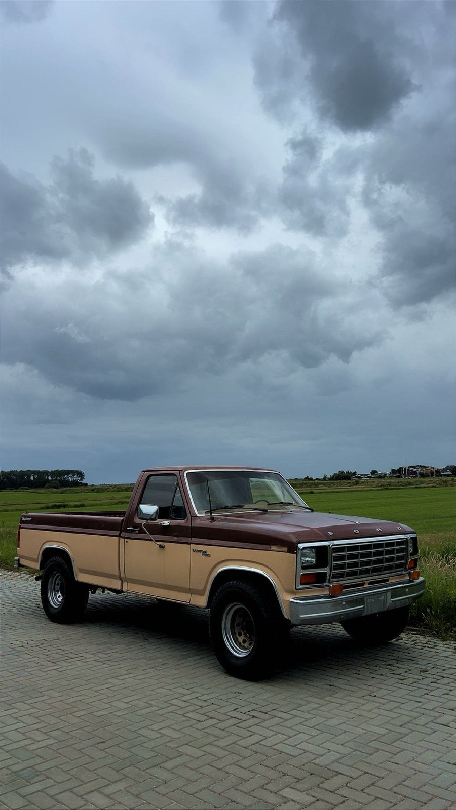 Gezocht: 2 deurpanelen voor Ford F250 1981, Ophalen, Gebruikt, Deur, Links