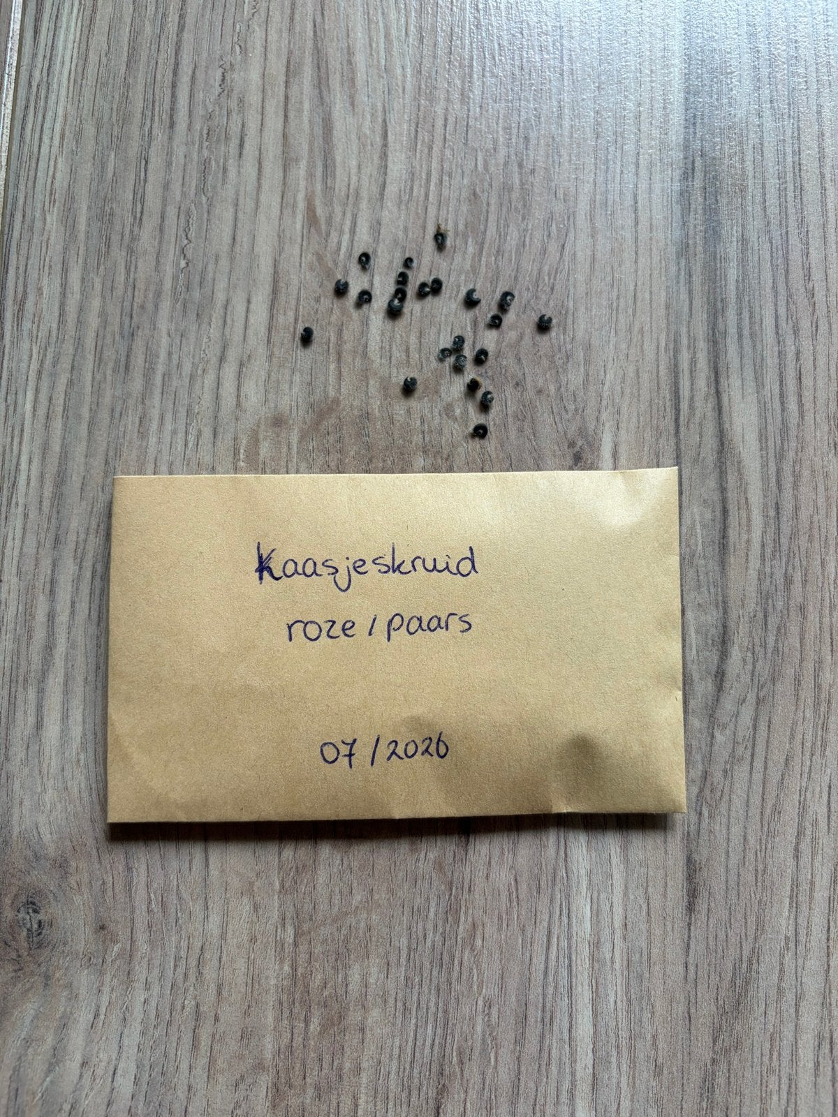 Zaadjes Kaasjeskruid paarsroze uit eigen tuin - zakje 20st, Ophalen of Verzenden, Voorjaar, Volle zon, Zaad