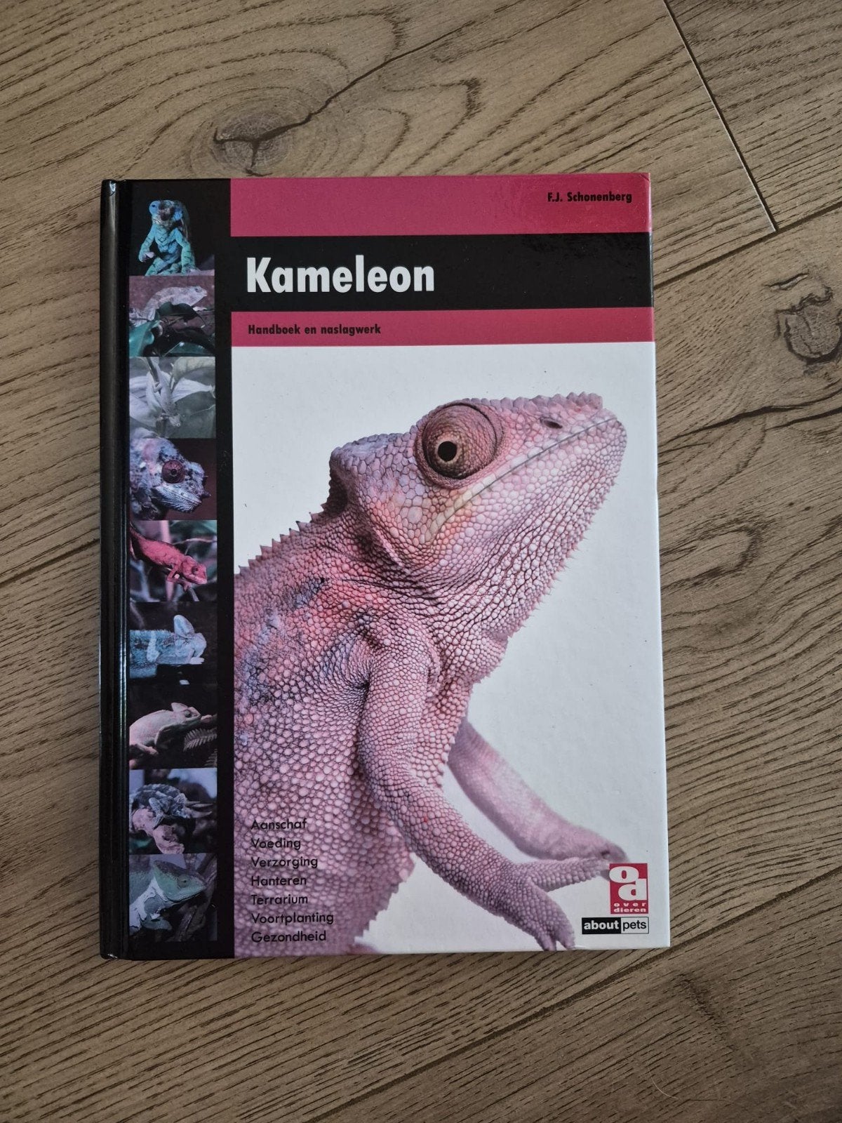 Kameleon: Handboek en naslagwerk - Ideaal voor spreekbeurt, Ophalen of Verzenden, Zo goed als nieuw, Reptielen of Amfibieën