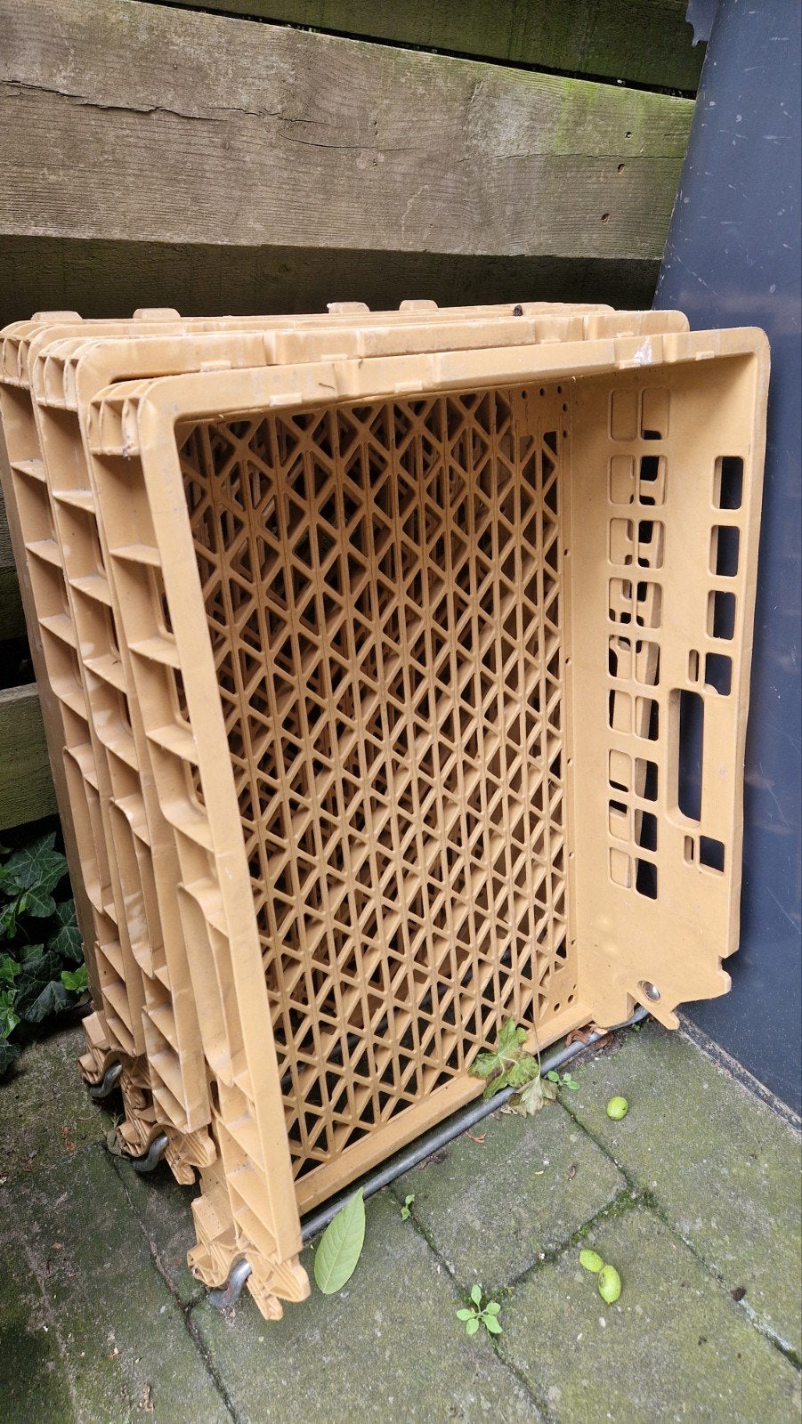 Opvouwbare kratten - Ideaal voor opslag en transport, Gebruikt, 40 tot 60 cm, Opvouwbaar, 50 tot 75 cm