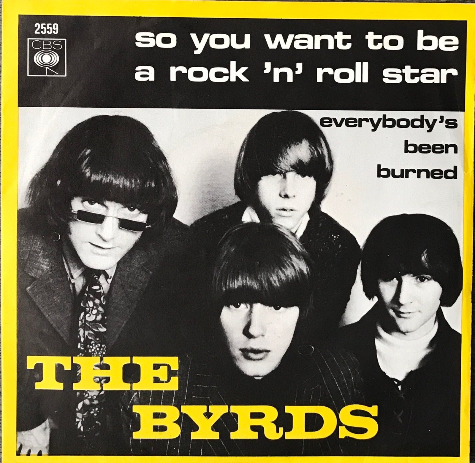 The BYRDS -So you want to be a rock ‘n’ roll star (NL)ALS NW, Verzenden
