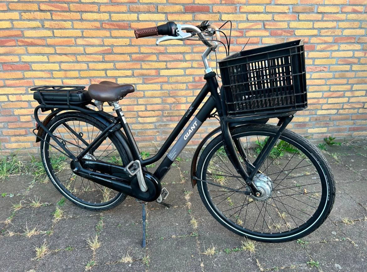 Giant elektrische fiets, Fietsen en Brommers, Ophalen, Zo goed als nieuw, Giant