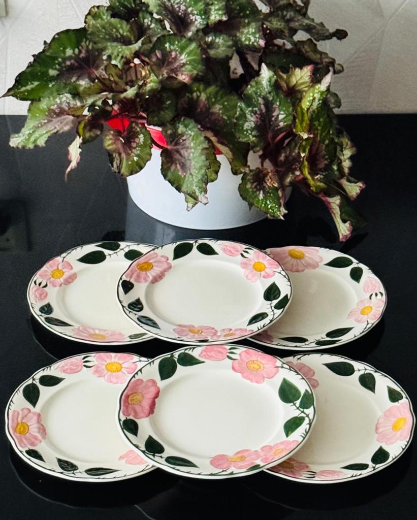 Villeroy & Boch Wild Rose borden 27 cm - set van 6, Huis en Inrichting, Ophalen of Verzenden, Zo goed als nieuw, Bord(en), Overige stijlen
