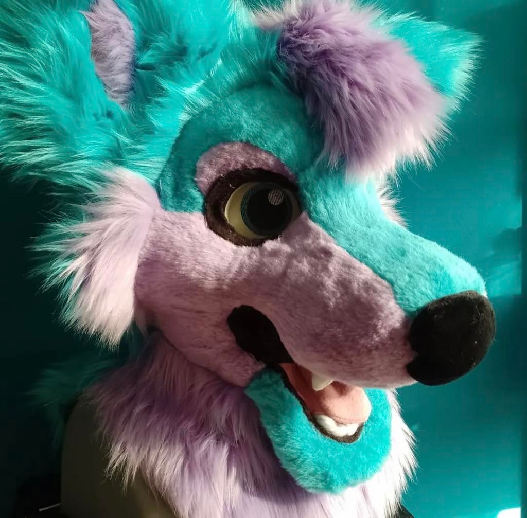 Fursuit, Ophalen of Verzenden, Zo goed als nieuw