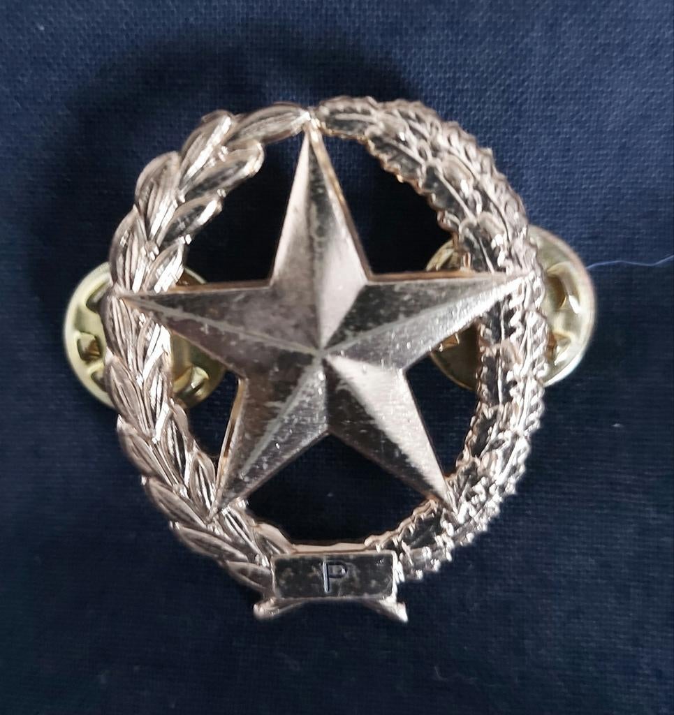 DT speld schutter 1e klas pistool, Ophalen of Verzenden, Landmacht, Nederland, Embleem of Badge