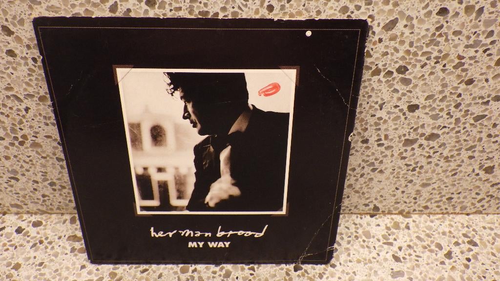 mooie singel cd van Herman Brood, Ophalen of Verzenden, Gebruikt