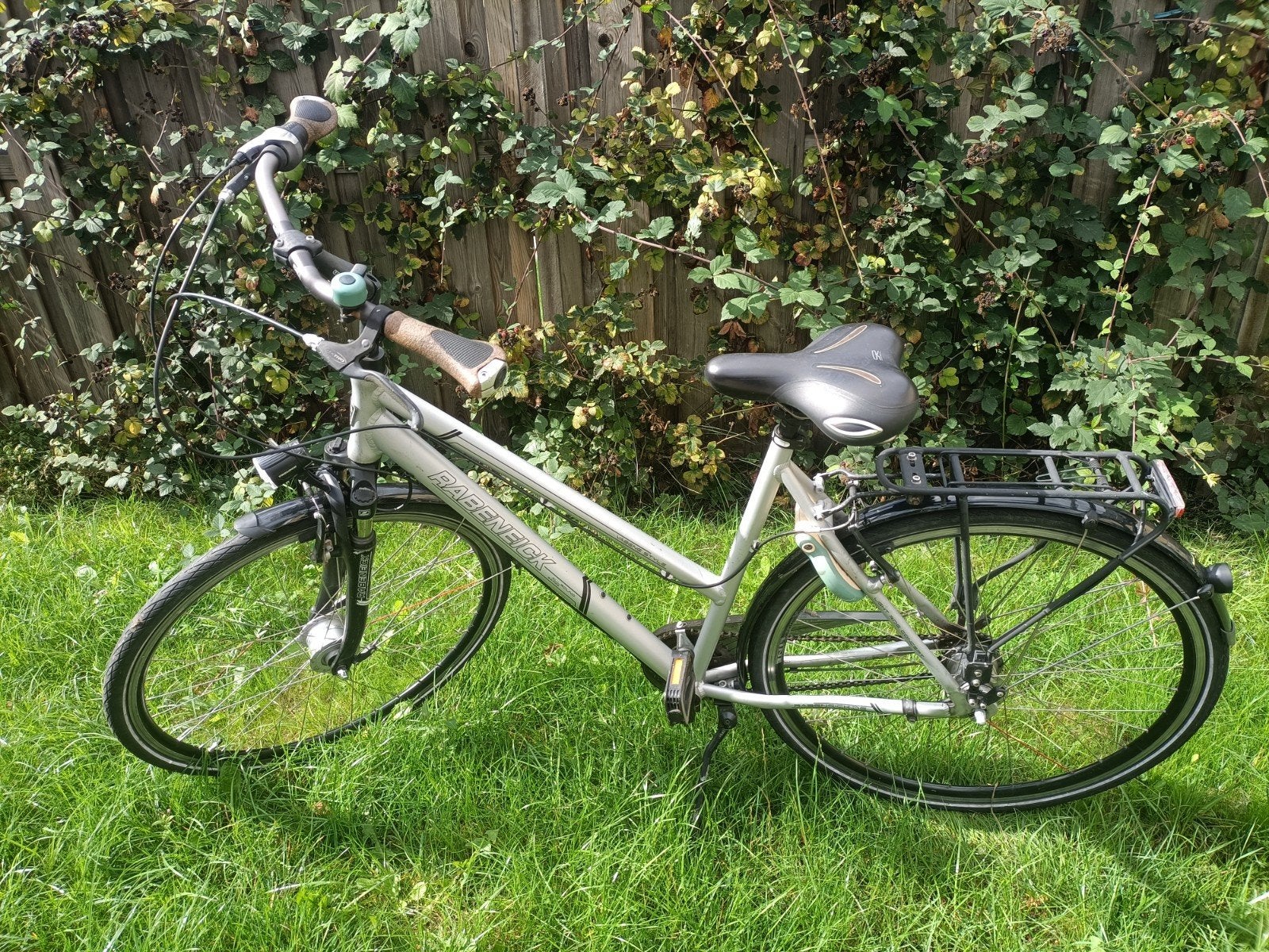 Rabeneick allround  sportieve damesfiets, Velgrem, Versnellingen, Ophalen, Overige merken
