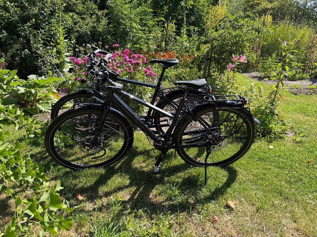idworx oPinion 52/56 / Lady 52, Pinion 1.18 riem, schijfrem, 28 inch, Nieuw, 15 tot 20 versnellingen, Schijfrem