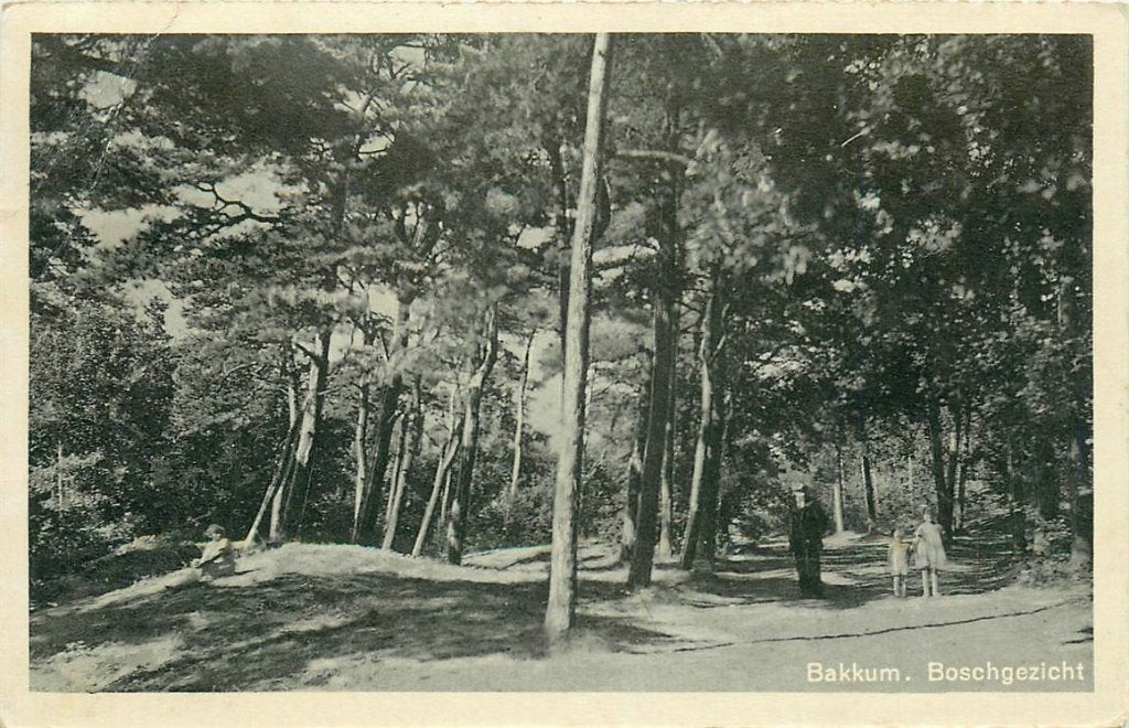 379-195-047 Bakkum Boschgezicht, Verzamelen, Ophalen of Verzenden, Voor 1920, Noord-Holland