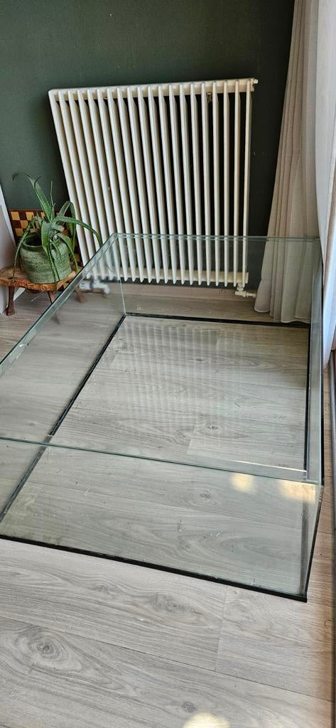 Glazen bak / hok / terrarium, Dieren en Toebehoren, Muis, Hok, Ophalen, Minder dan 60 cm