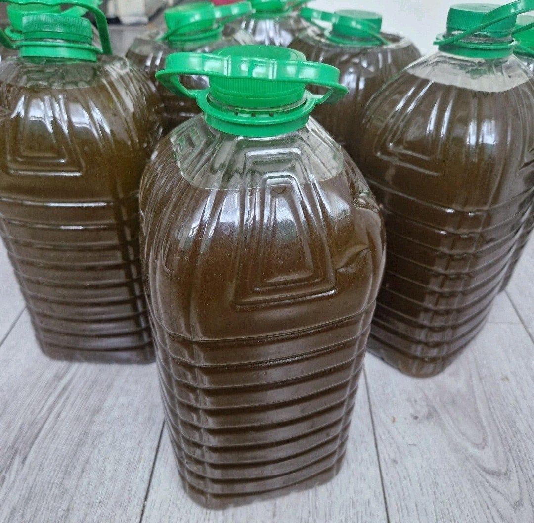 Puur Olijfolie Te Koop  Direct van de Eigen Oogst 🇲🇦🫒, Ophalen of Verzenden