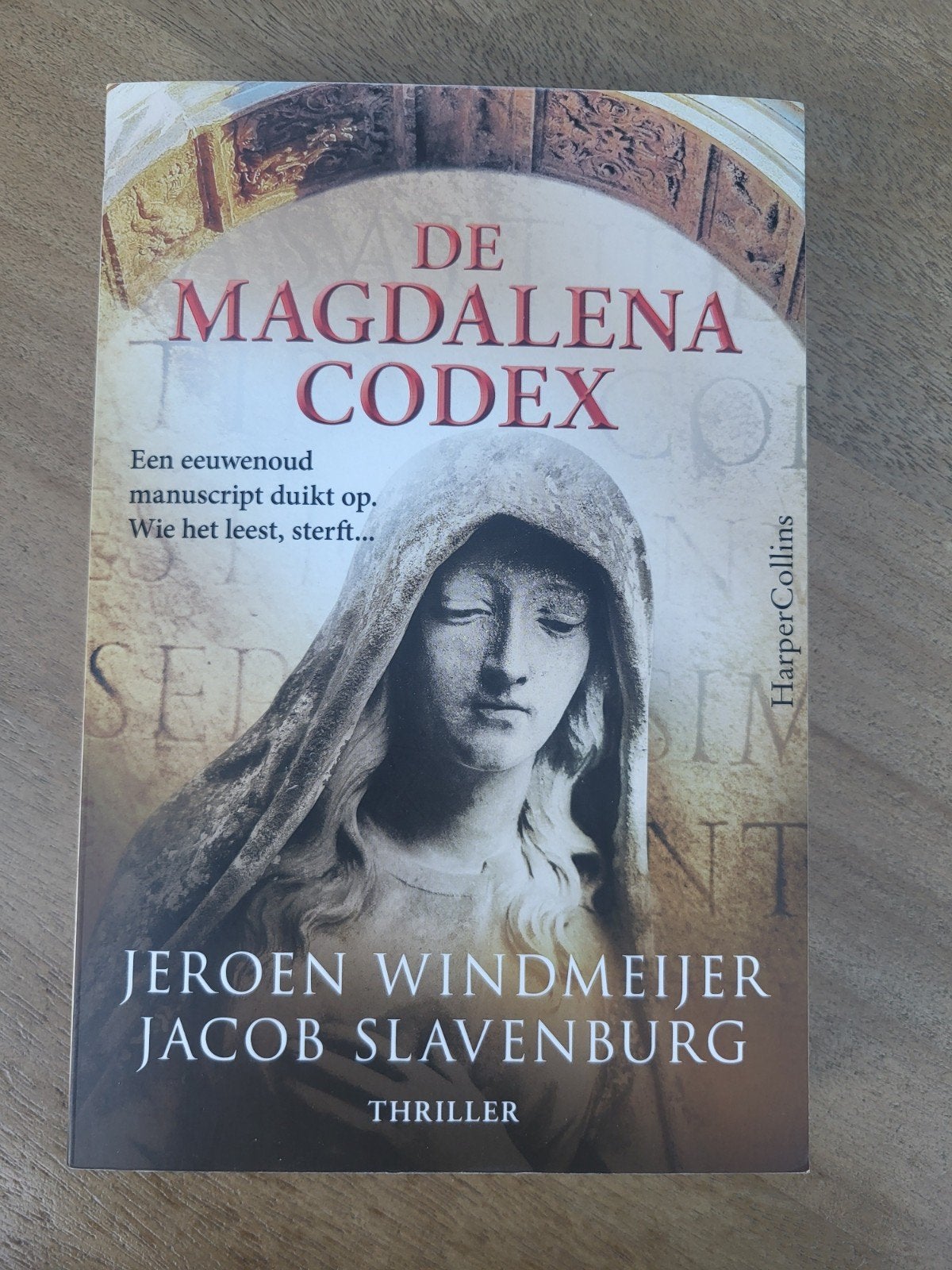 De Magdalena Codex - Jeroen Windmeijer & Jacob Slavenburg, Jeroen Windmeijer, Jacob Slavenburg, Ophalen of Verzenden, Zo goed als nieuw