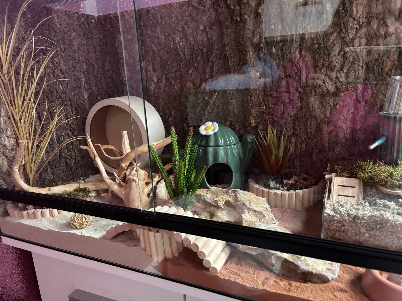 Hamsterkooi terrarium 80x40x50, Ophalen
