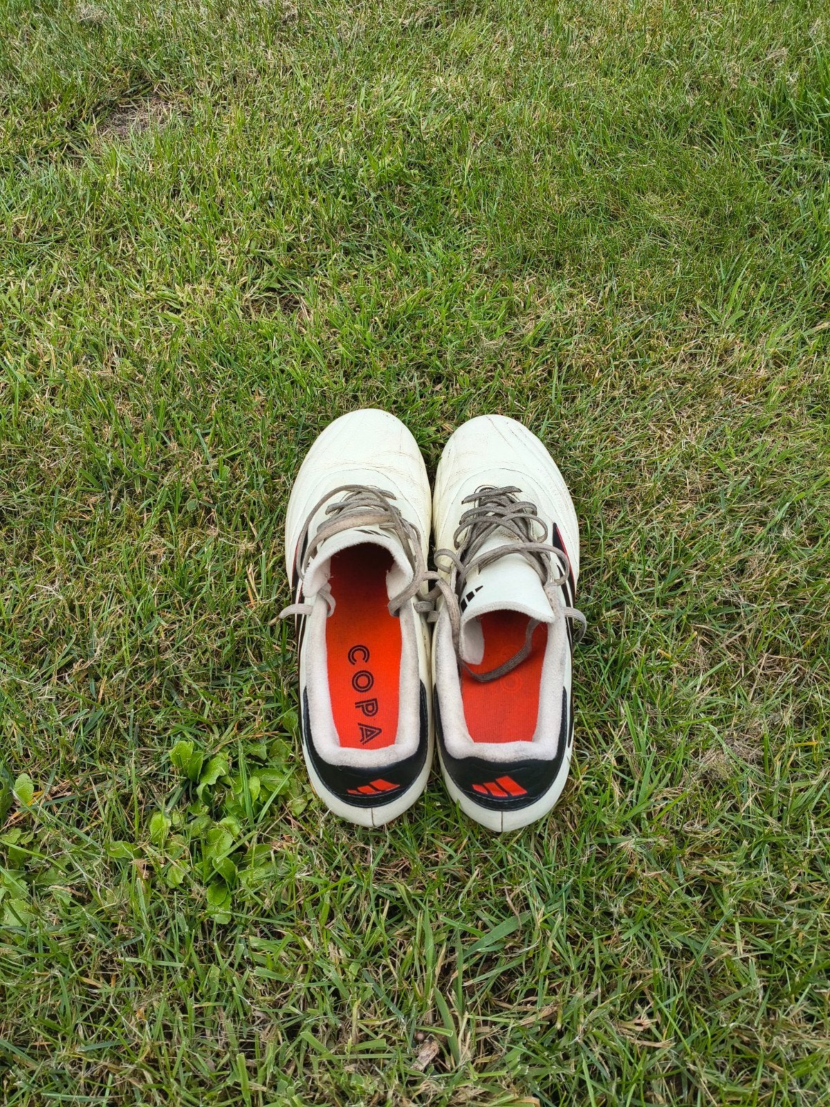 Adidas Voetbalschoenen, Ophalen of Verzenden, Zo goed als nieuw, Schoenen