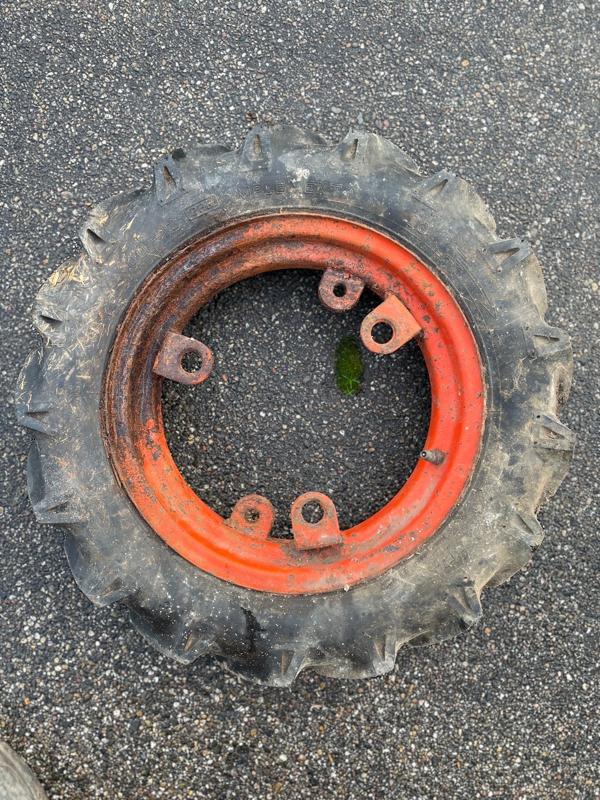VELG EN BAND VAN (VINTAGE) AGRIA, Ophalen, Gebruikt