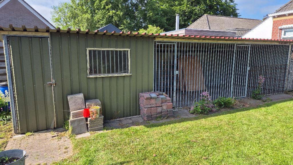 honden ren, Ophalen, Hondenkennel, 100 cm of meer, 110 cm of meer