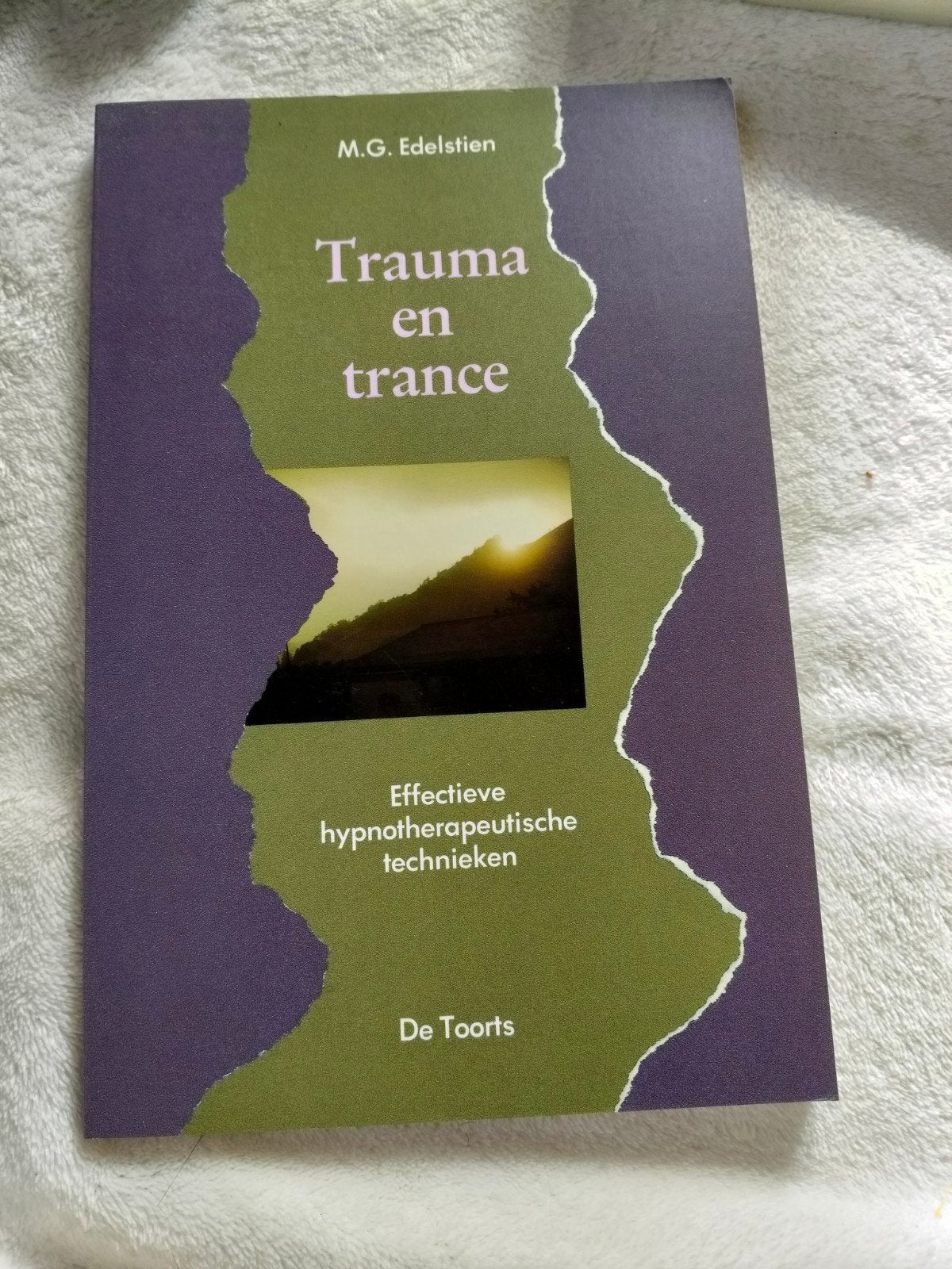 Trauma en trance - Effectieve hypnotherapeutische technieken, Boeken, Ophalen of Verzenden, Zo goed als nieuw, Klinische psychologie
