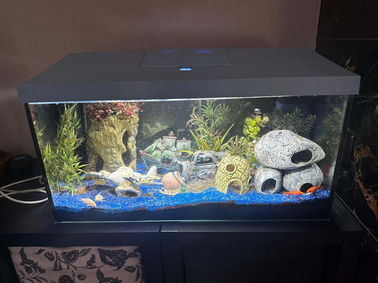 Compleet Aquarium, Ophalen of Verzenden, Zo goed als nieuw, Gevuld zoetwateraquarium