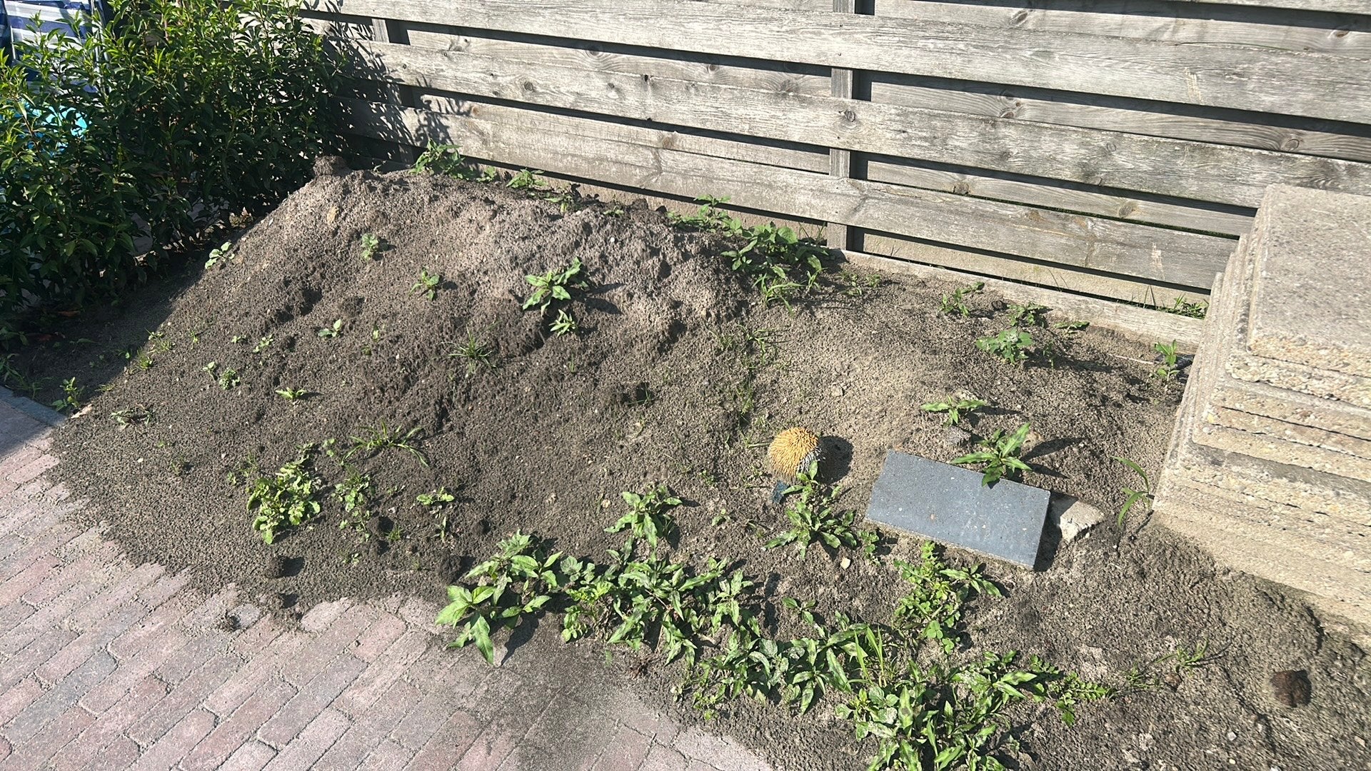 Zwarte grond circa 0,5 m3, Ophalen
