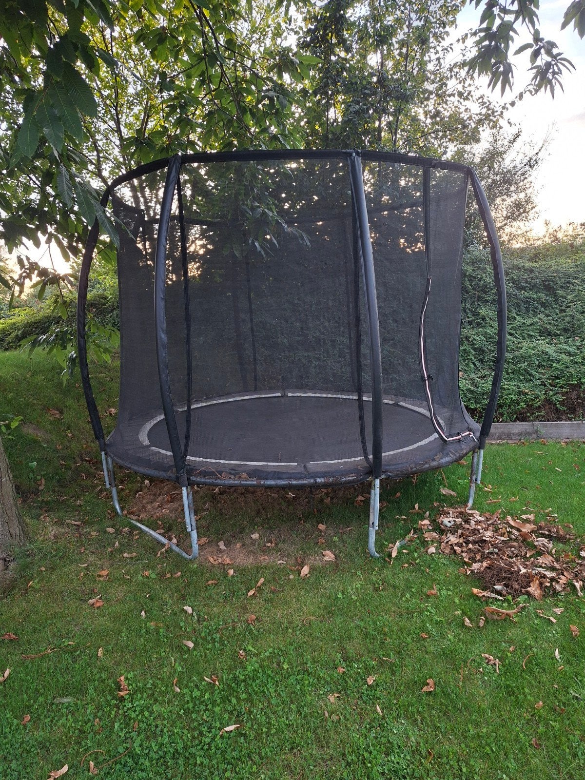 Trampoline 305 cm met vangnet - Merk Alert, Ophalen