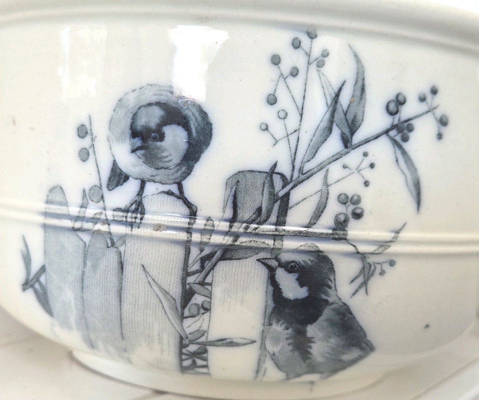 antieke po 1868! Brown-Westhead, Moore & Co "Canova" vogel, Ophalen of Verzenden