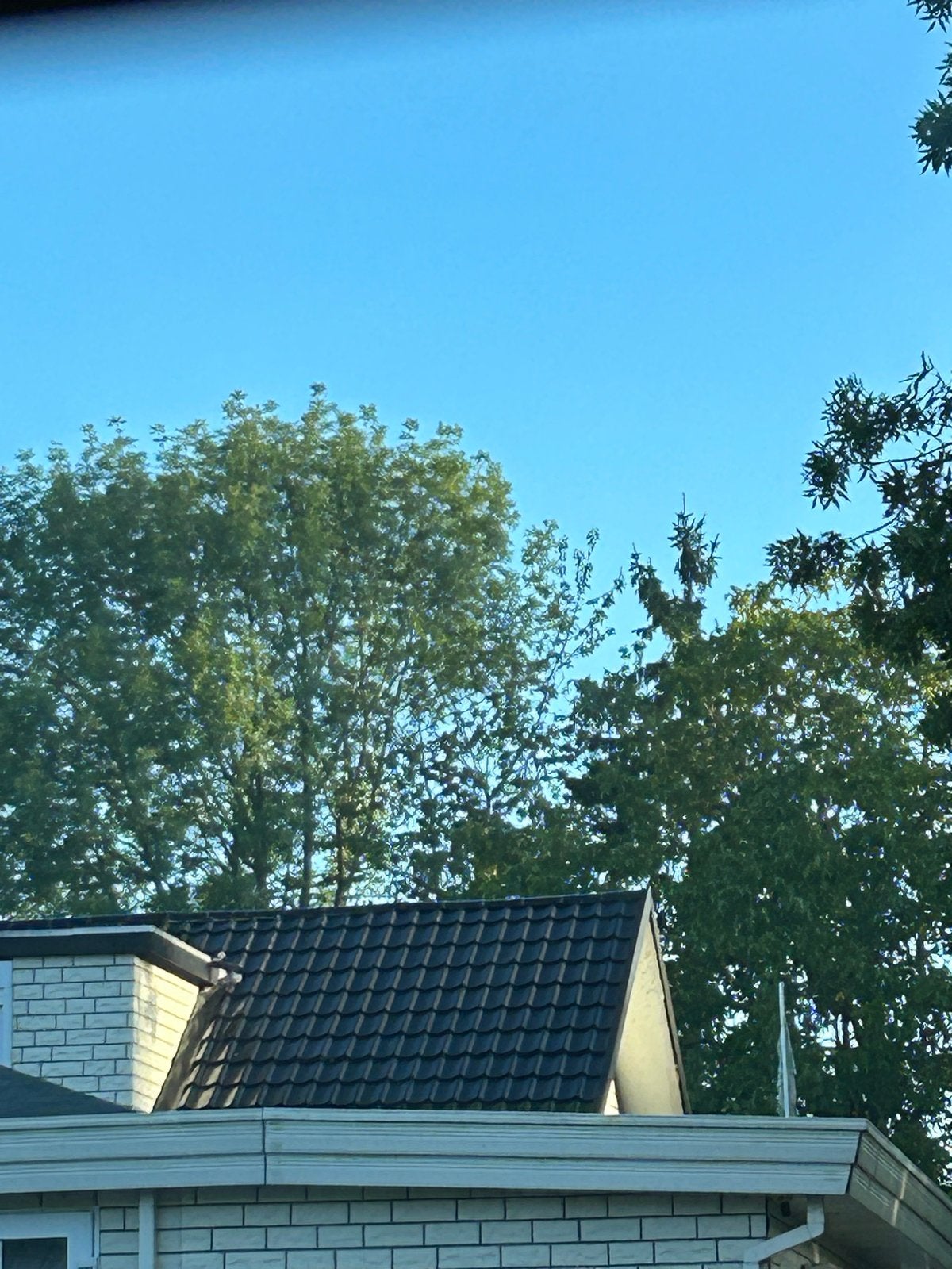 Kitter gezocht, Doe-het-zelf en Verbouw, Ophalen of Verzenden