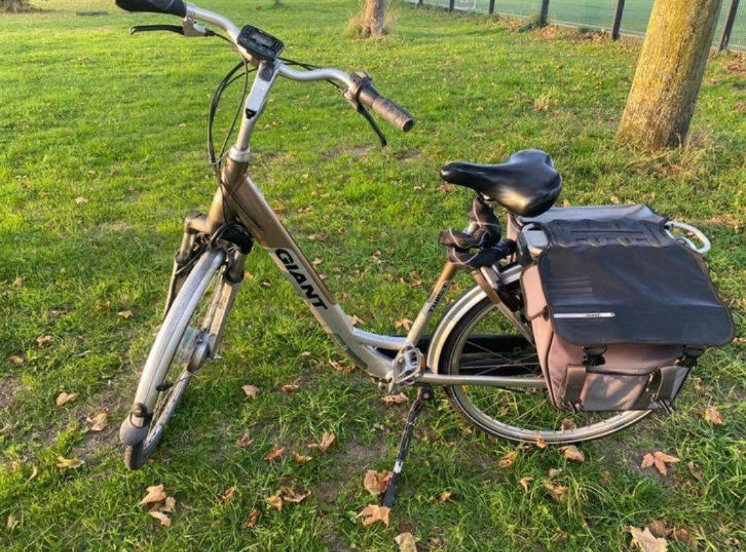 Giant Elektrische fiets, Fietsen en Brommers, Ophalen, Gebruikt, Giant