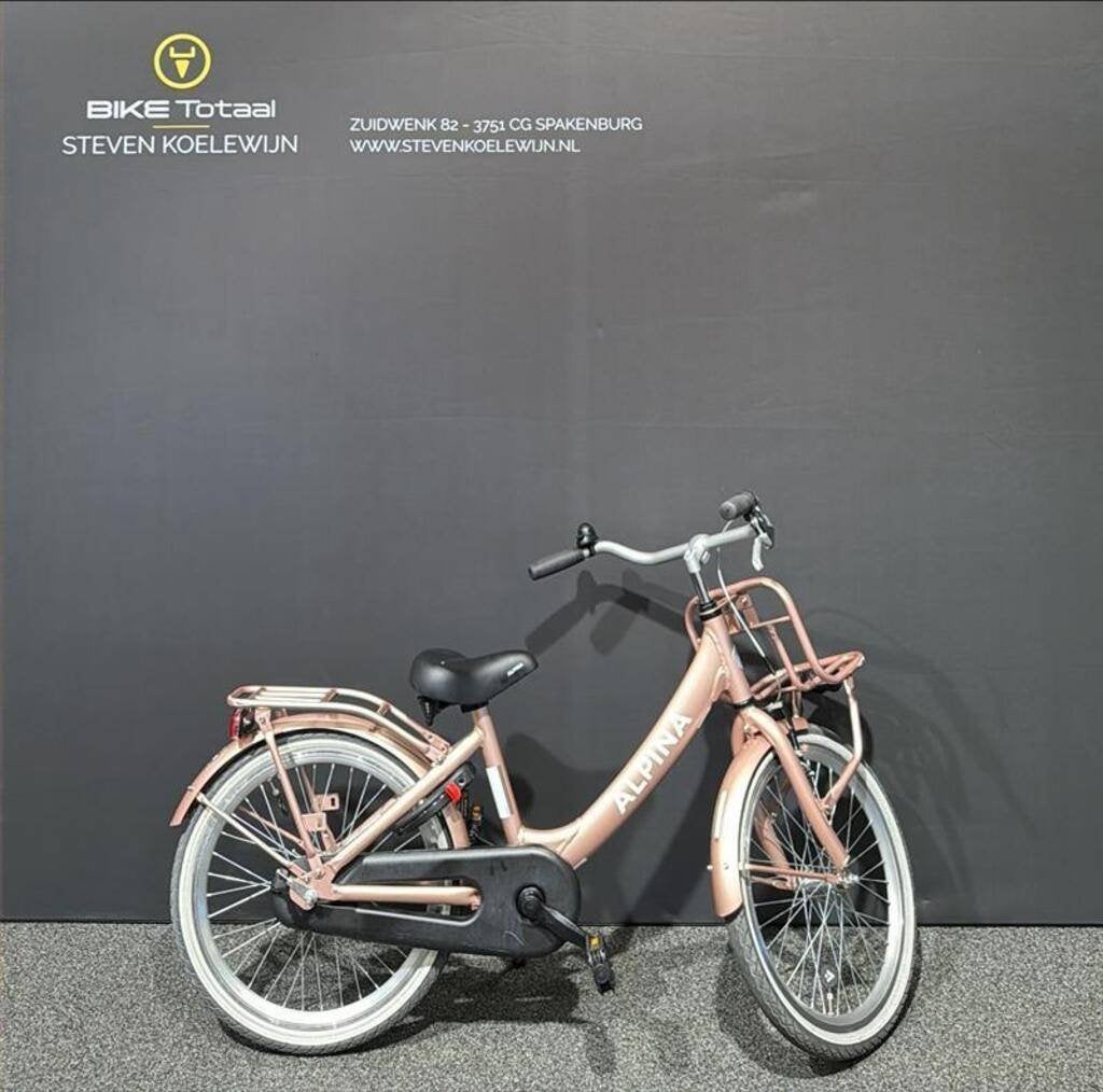 Alpina Clubb M20 Rn Kinderfietsen  rose matt  Terugtraprem, Ophalen, Gebruikt, 20 inch