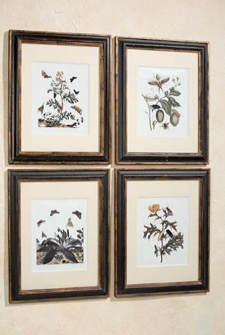 Mooie Prent in mooie Lijst, met vlinders, insecten, bloemen, Minder dan 50 cm, 50 tot 75 cm, Nieuw, Ophalen of Verzenden