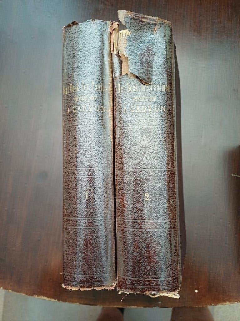 Johannes Calvijn Het boek der psalmen (verklaring), Boeken, Ophalen of Verzenden, Gelezen, Christendom | Protestants