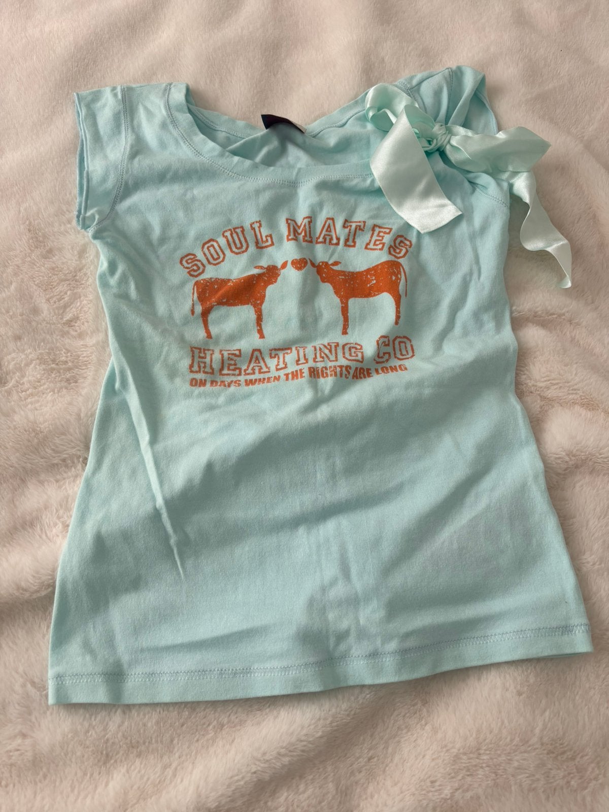 XDYE T-shirt. Mintgroen. Maat M, Kleding | Dames, Maat 38/40 (M), Ophalen of Verzenden, Zo goed als nieuw, Korte mouw