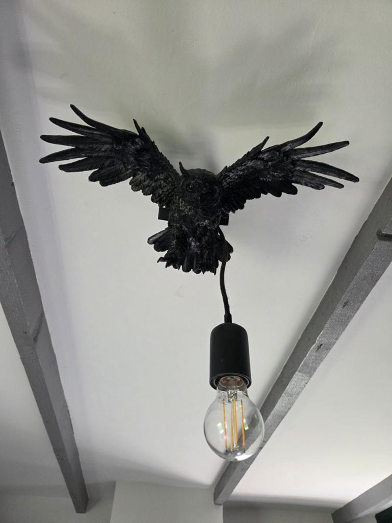 Uilen lamp, Ophalen of Verzenden, Minder dan 50 cm