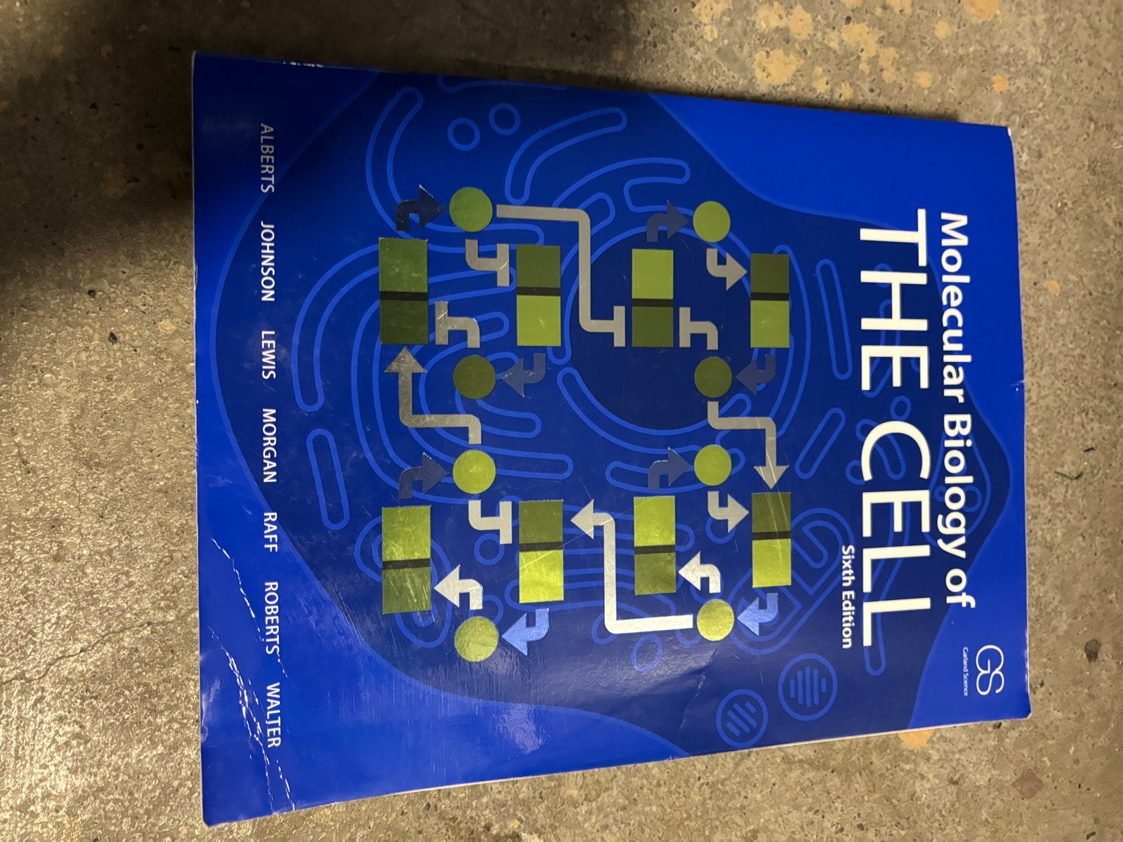 Molecular Biology of The Cell - Sixth Edition, Boeken, Ophalen of Verzenden, Beta, Gelezen, HBO
