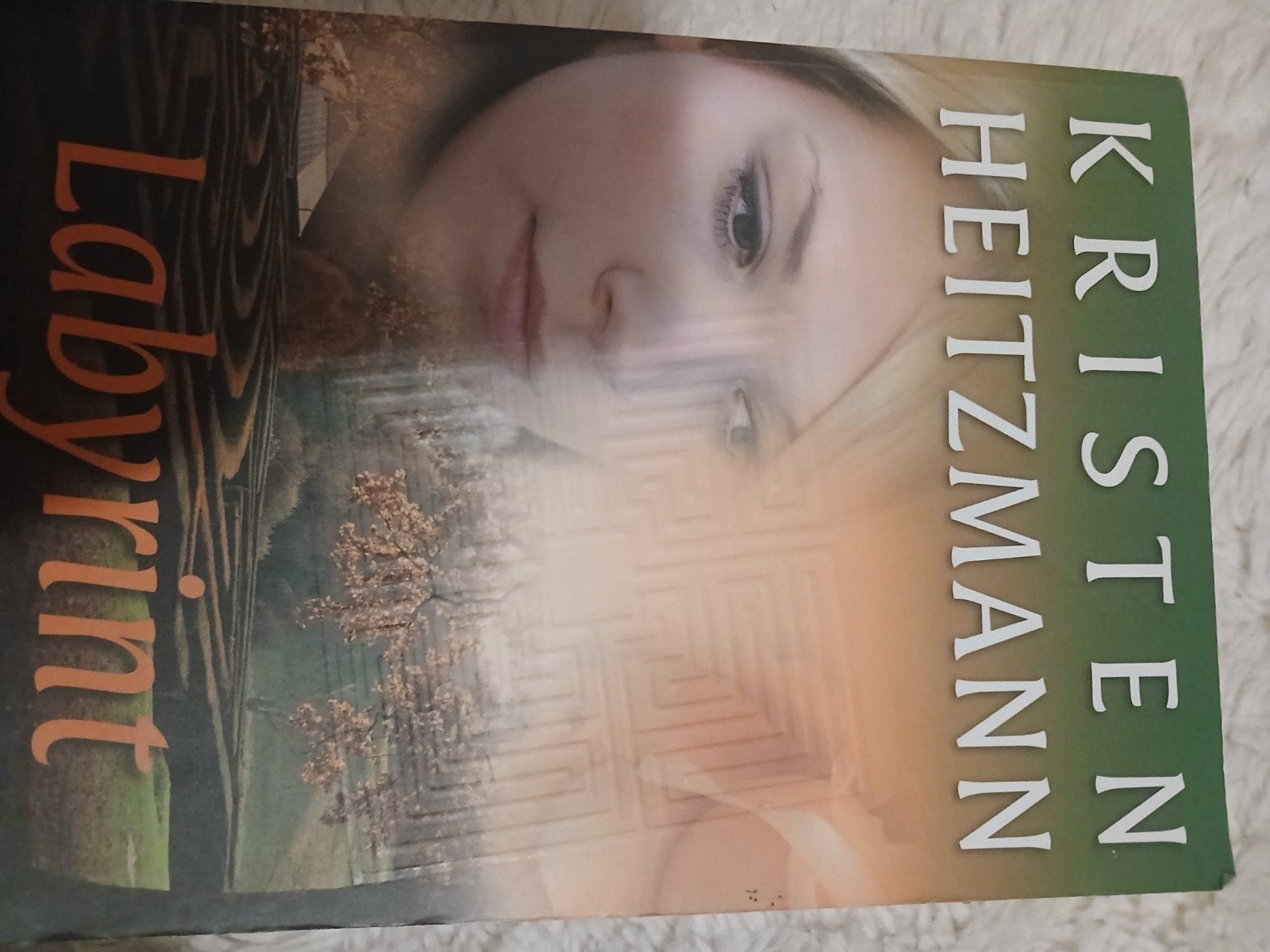 Labyrint, Boeken, Ophalen of Verzenden, Zo goed als nieuw, Kristen heitzmann