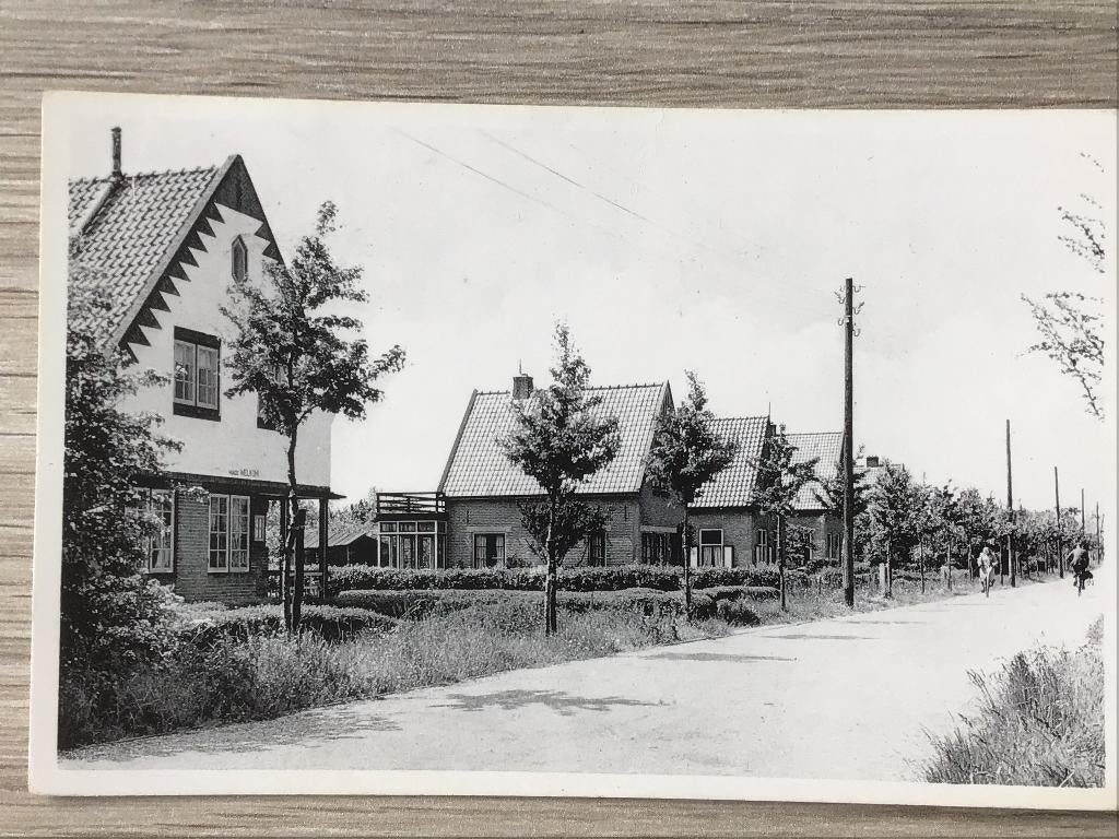 Oostvoorne Bosweg 1954, Verzenden, 1940 tot 1960, Gelopen, Zuid-Holland