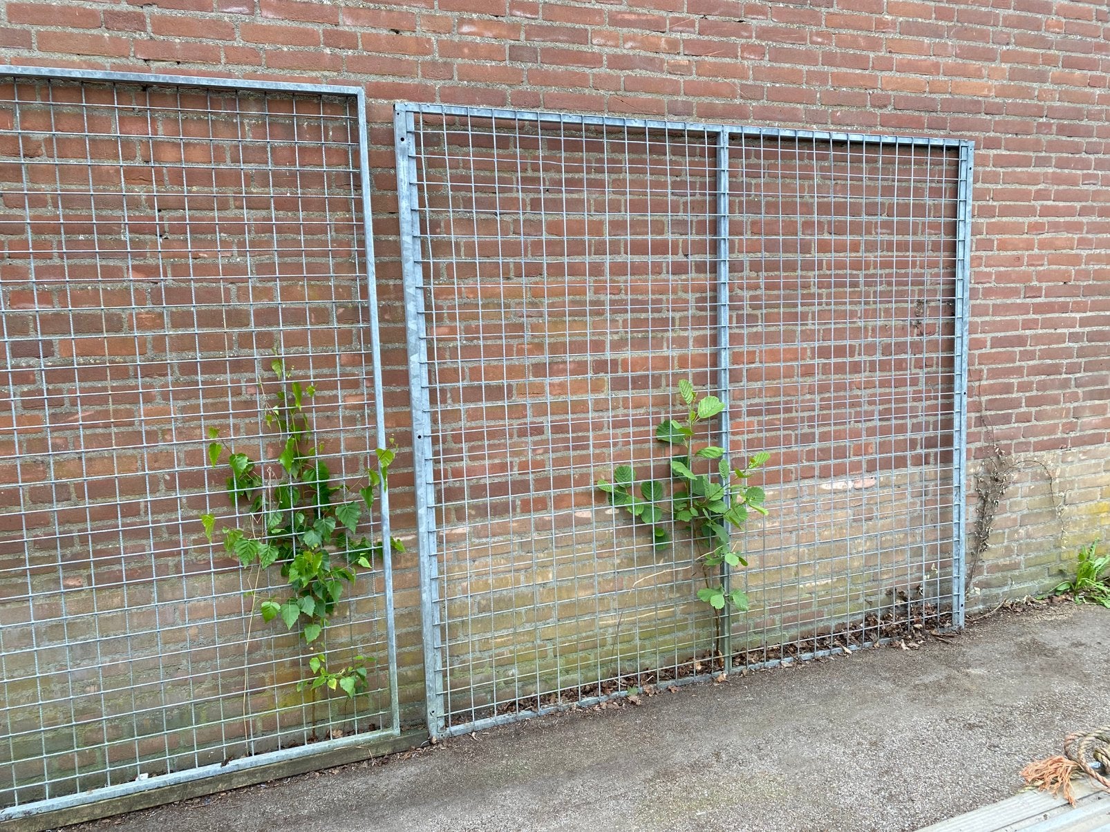 Hondenkennel met deur, Dieren en Toebehoren, Hondenhokken, Ophalen, Hondenkennel, 100 cm of meer, 110 cm of meer