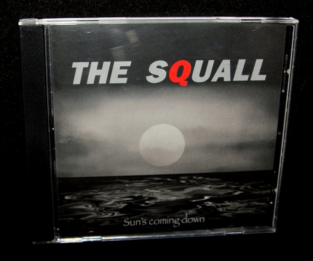 The Squall - Sun's Coming Down (2010), Ophalen of Verzenden, Zo goed als nieuw, Poprock