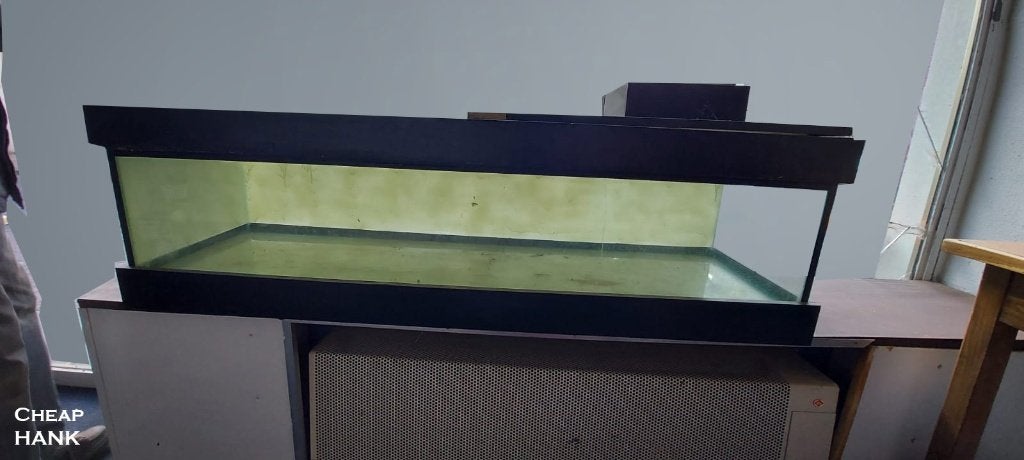 Aquarium, Ophalen, Gebruikt, Leeg aquarium