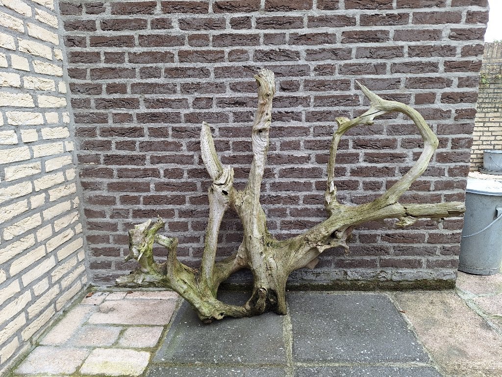 Drijfhout / boomstronk, Huis en Inrichting, Ophalen, Gebruikt