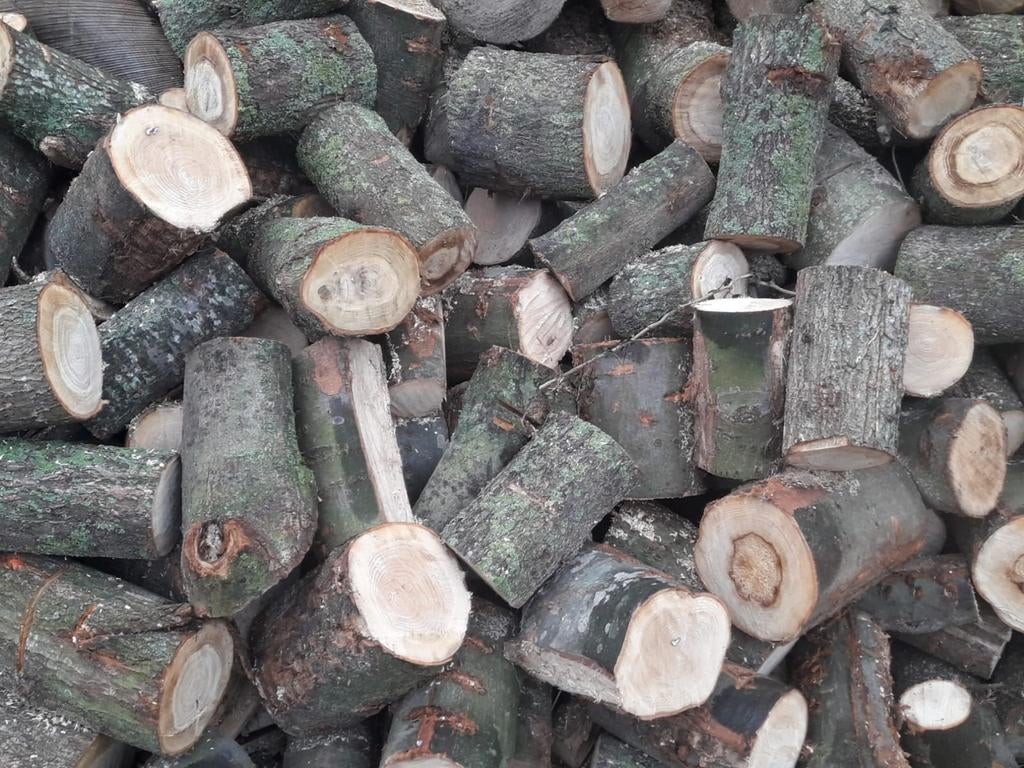Eikenhout blokken van boomstammen om zelf te kloven, Minder dan 3 m³, Ophalen