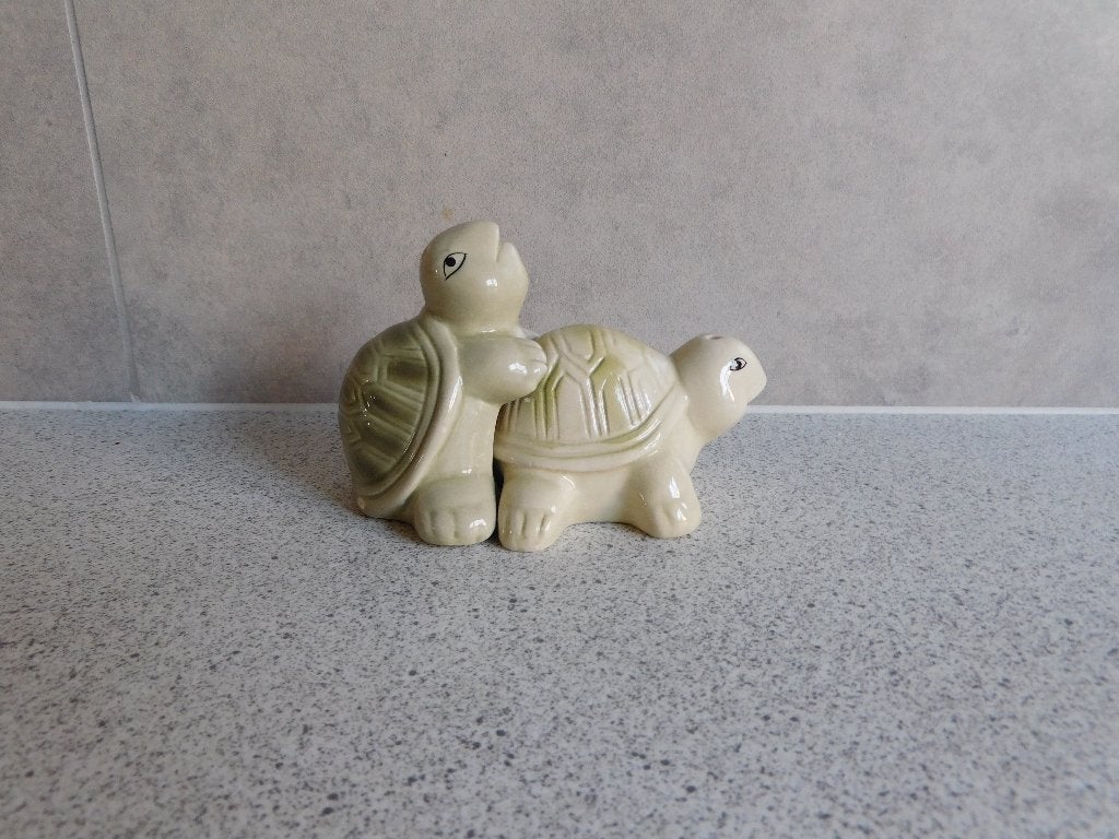 Peper en Zoutstel Schildpadden, Overige merken, Overige typen, Ophalen of Verzenden, Zo goed als nieuw