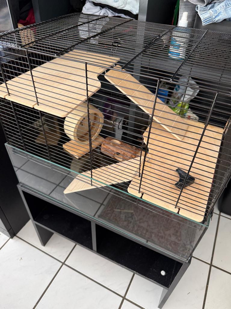 Hamsterkooi Interzoo Vision 58 met kastje, Dieren en Toebehoren, Knaagdieren en Konijnen | Hokken en Kooien, Kooi, Gebruikt, Minder dan 75 cm