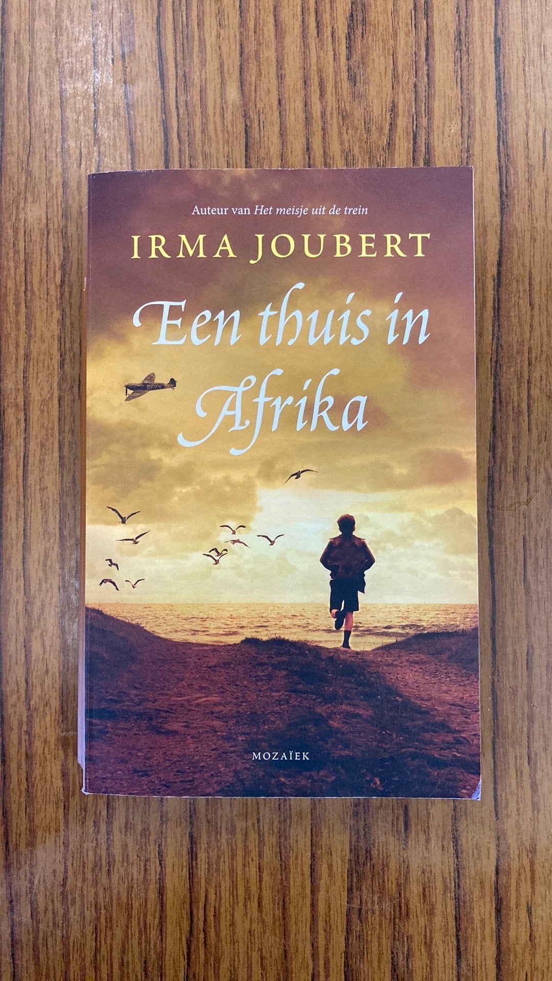 Irma Joubert - Een thuis in Afrika, Boeken, Ophalen of Verzenden, Zo goed als nieuw, Irma Joubert