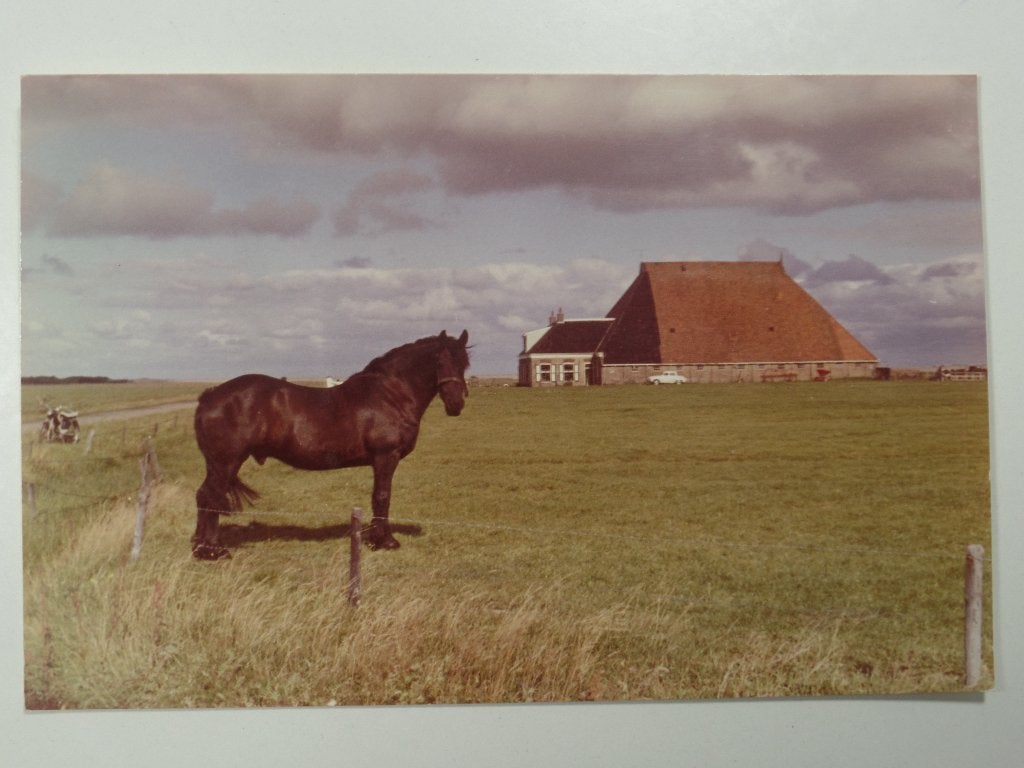 Boerenleven Friesland boerderij met paard, Ophalen of Verzenden, Ongelopen, Friesland