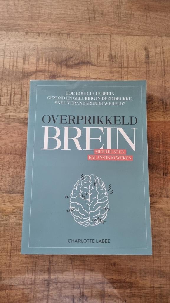 Overprikkeld brein, Ophalen of Verzenden, Overige onderwerpen