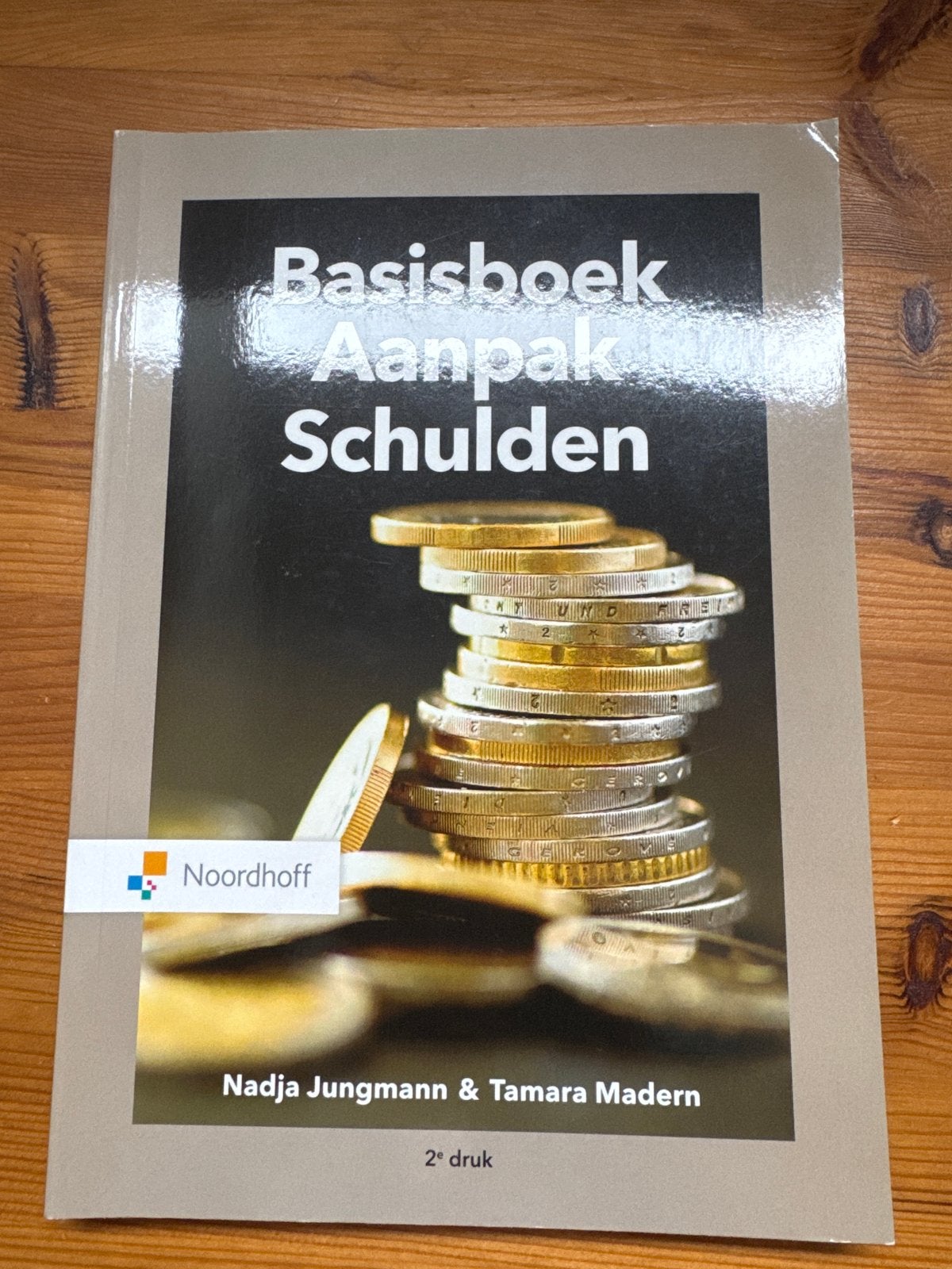 Basisboek Aanpak Schulden - Nadja Jungmann & Tamara Madern, Boeken, Studieboeken en Cursussen, Ophalen of Verzenden, Gamma, Zo goed als nieuw