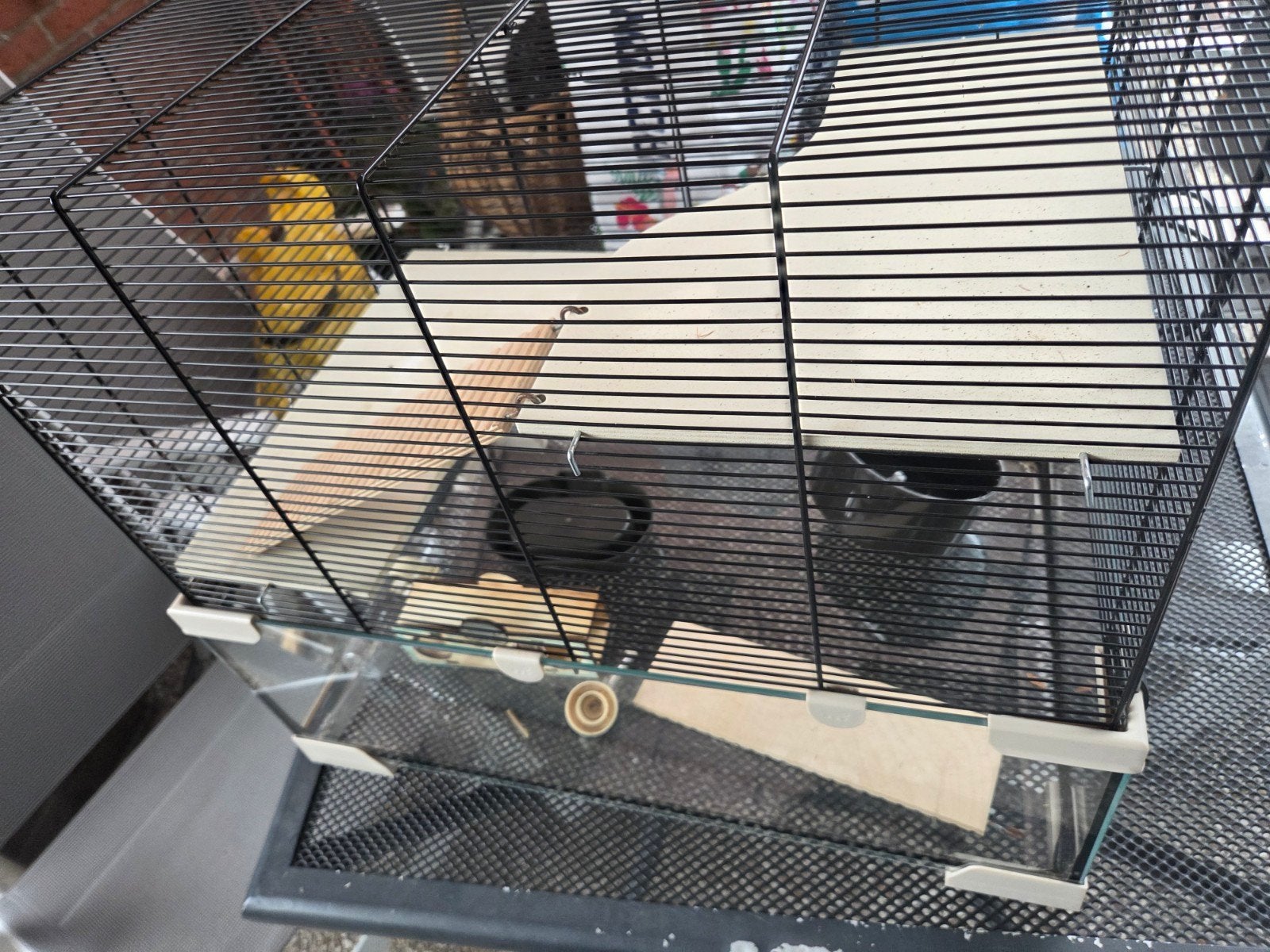 Gratis hamsterparadijs, Dieren en Toebehoren, Ophalen, Gebruikt