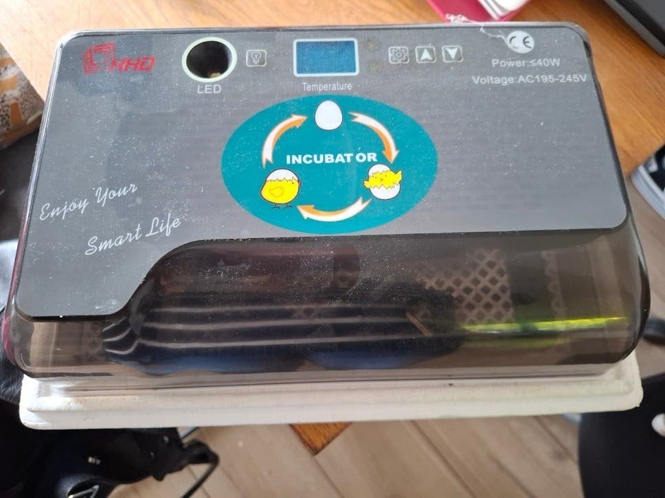 Broedmachine te koop, Dieren en Toebehoren, Ophalen of Verzenden, Broedmachine
